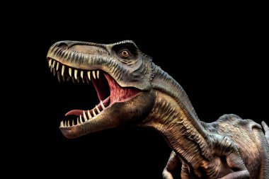 Siyah arka plan üzerine izole tyrannosaurus rex heykeli.
