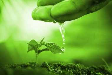 Sulama tesisleri, makro, kavram