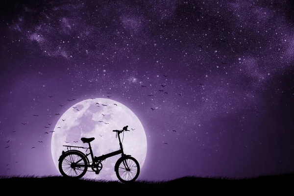 Noche de luna llena con la sombra de una bicicleta y pájaros que vuelan — Foto de Stock