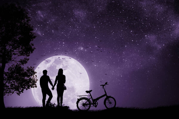 Silhouette couple man and woman holding hand Full moon night With a Bicycle and birds that fly back to the nest. Mixed media. Proton purple.
