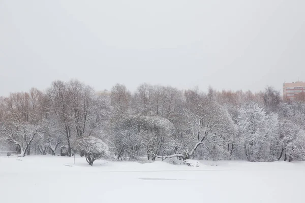 Inverno Russia Con Neve Fresca Bianca — Foto Stock