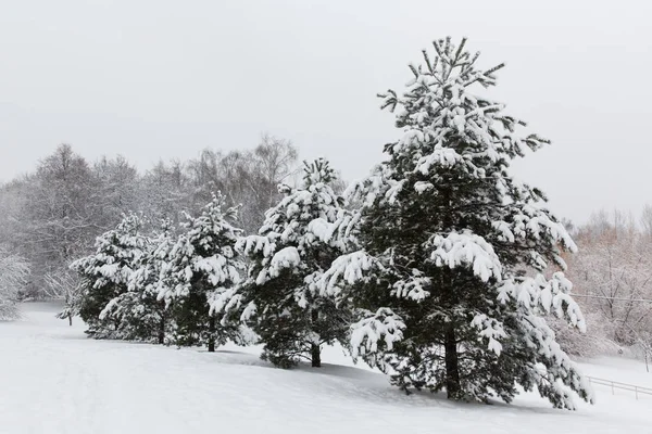 Taze beyaz kar ile Rusya'da kış 