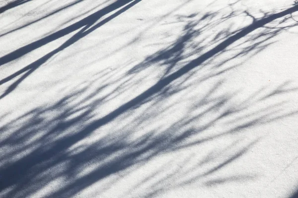 Textura Nieve Con Perspectiva Fondo Blanco Invierno —  Fotos de Stock