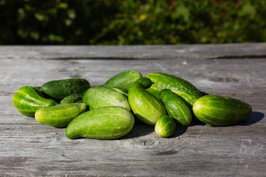 Ahşap zemin üzerine Yeşil taze salatalık