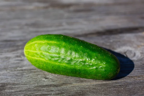 Ahşap Zemin Üzerine Yeşil Taze Salatalık — Stok fotoğraf