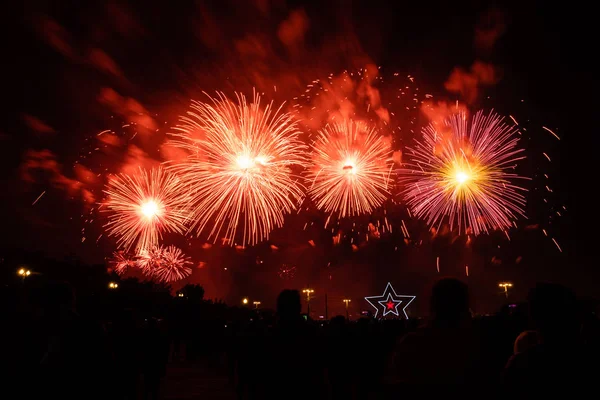 Kleurrijk Vuurwerk Zwarte Lucht Achtergrond — Stockfoto