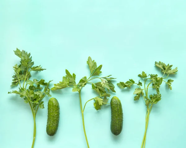Pepinos Ramo Salsa Fundo Verde Legumes Frescos Verduras Alimentos Vegetais — Fotografia de Stock