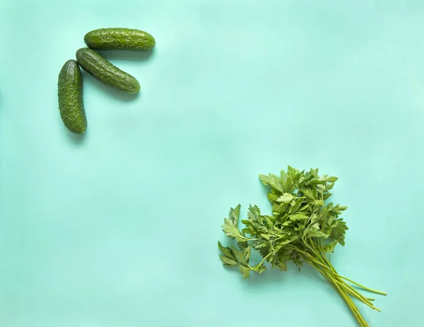 Ramo Salsa Pepinos Fundo Verde Verduras Legumes Frescos Alimentos Vegetais — Fotografia de Stock