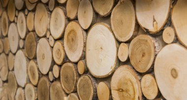 ağaç gövdeleri, sawed, ahşap, sawed doğal malzeme, ahşap doku, dekor,