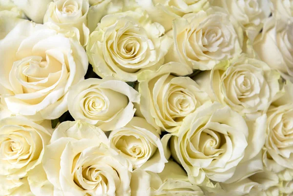 Bouquet Rose Bianche Molti Fiori Boccioli Fiori Petali Bianchi — Foto Stock