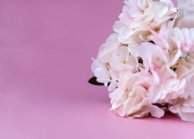 Ortanca şube krem rengi pembe bir arka plan, narin çiçekler, birçok çiçek