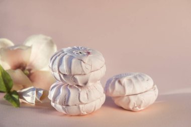 meyve hatmi, Manolya çiçek bej arka planda, hassas tatlı