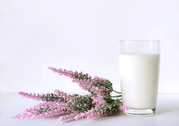Glas Mjölk Rosa Lavendelblommor Vit Bakgrund — Stockfoto