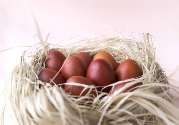 many brown eggs in the nest, Easter, boiled eggs