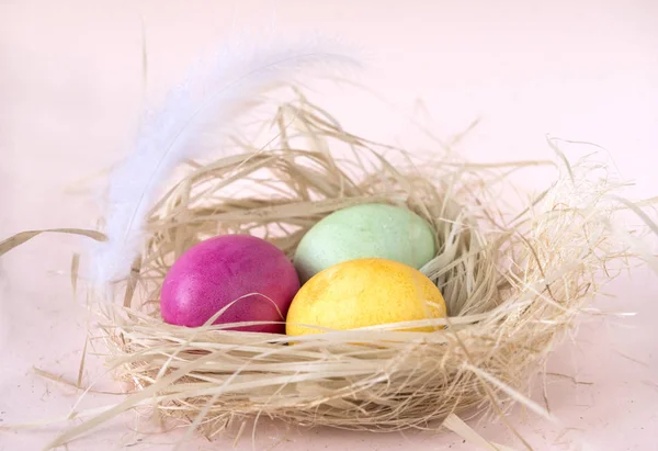 Rosa, verde, amarillo Huevos de Pascua en nido con plumas blancas — Foto de Stock