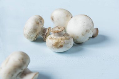 birkaç mantar mavi yüzeyinde yalan