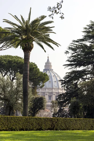 Cúpula da Basílica de São Pedro na cidade do Vaticano, jardim do Vaticano, Ro — Fotografia de Stock