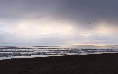 İlkbaharda St. Petersburg'da Finlandiya Körfezi kıyısı, Kuzey Denizi
