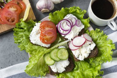 ricotta ve sebze sandviç, domates, salatalık, soğan, radis