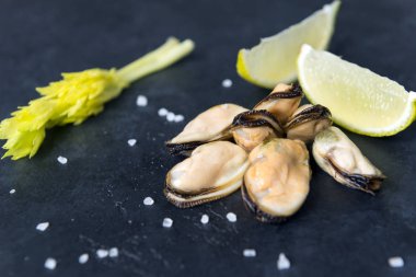 kireç dilimleri ile marine midye, bl üzerinde tuz ve kereviz sprig