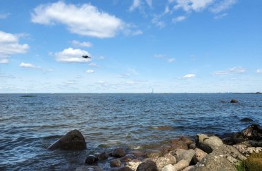 Güneşli bir günde Finlandiya Körfezi üzerinde gökyüzünde kuş, coa