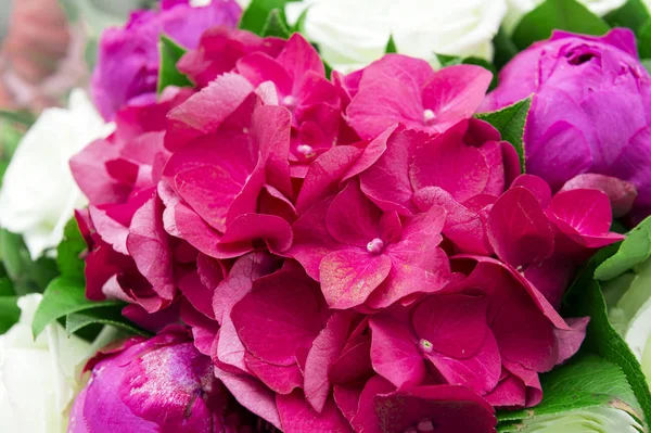 Flores são hortênsias rosa e peônias, pétalas delicadas — Fotografia de Stock