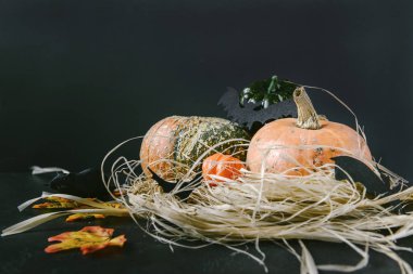 siyah fare ve yarasalar üzerinde saman üzerinde kırmızı kabak bir arka plan üzerinde