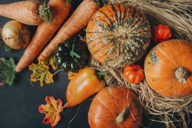 taze kabak, biber, havuç, soğan, sonbahar yaprakları, vegeta
