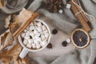  marshmallow ve tarçın ile sıcak kahve fincan, dri dilim