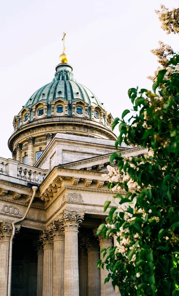 Kwitnący Krzew Liliowy Prawosławna Kopuła Kazańskiej Katedry Sankt Petersburgu Rosja — Zdjęcie stockowe