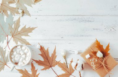 1 fincan kakao, marşmelovlu sıcak çikolata, sonbahar sarısı akçaağaç yaprakları, hediye kutusu, beyaz bir çiçek filizi ve beyaz ahşap arka planda pamuk, kopya alanı