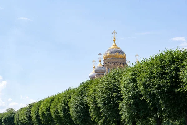 Cúpulas Douradas Com Cruzes Igreja Ortodoxa Atrás Das Coroas Árvores — Fotografia de Stock