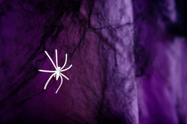 1 white spider on a black web on a purple background, Halloween
