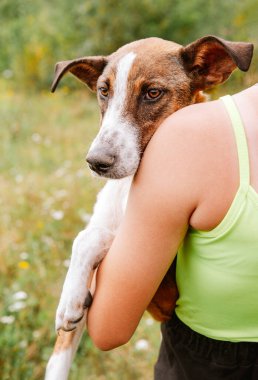 Yeşillik arka planında oturan bir adamın ellerinde oturan bir köpek, üzgün bir köpek yavrusu.