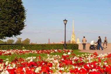 İnsanlar güneşli bir günde parkta yürürler, 27 Eylül 2020 'de St. Petersburg' daki Peter ve Paul kalesinde kırmızı çiçeklerle çiçek açarlar.,
