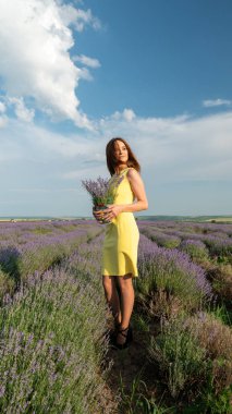 Lavander Field Üzerinde Güzel Genç Kadın