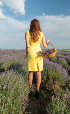 Lavander Field Üzerinde Güzel Genç Kadın