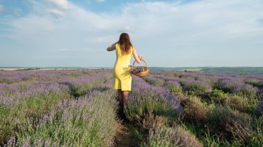 Lavander Field Üzerinde Güzel Genç Kadın