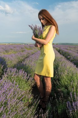 Lavander Field Üzerinde Güzel Genç Kadın