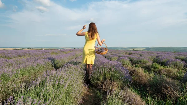 Lavander Field Üzerinde Güzel Genç Kadın