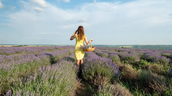 Lavander Field Üzerinde Güzel Genç Kadın