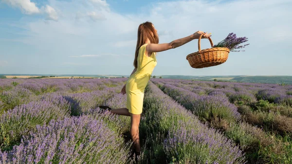 Lavander Field Üzerinde Güzel Genç Kadın