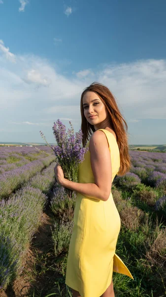 Lavander Field Üzerinde Güzel Genç Kadın