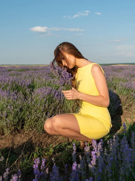 Lavander Field Üzerinde Güzel Genç Kadın