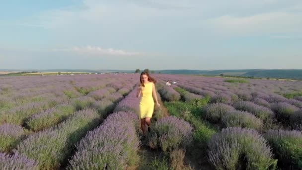 Sexig Tjej Lavendel Fältet — Stockvideo