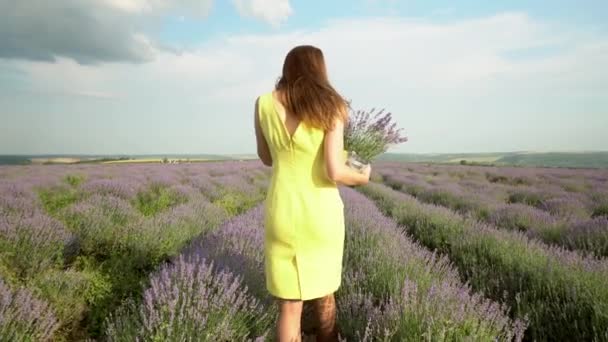 Sexy Meisje Lavendel Veld — Stockvideo