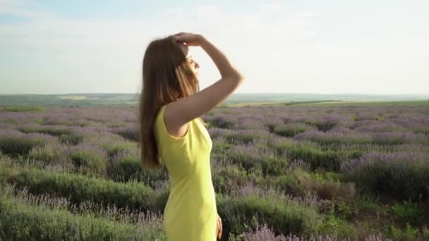 Ragazza Sexy Sul Campo Lavanda — Video Stock