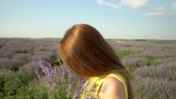 Sexet Pige Lavendel Feltet – Stock-video