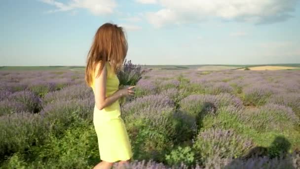Sexy Mädchen Auf Dem Lavendelfeld — Stockvideo