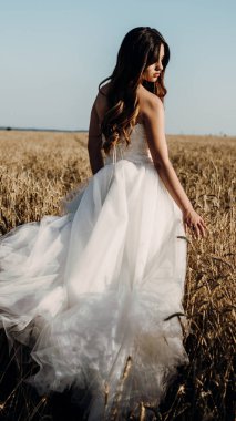 Gün batımında buğday tarlasında güzel gelin